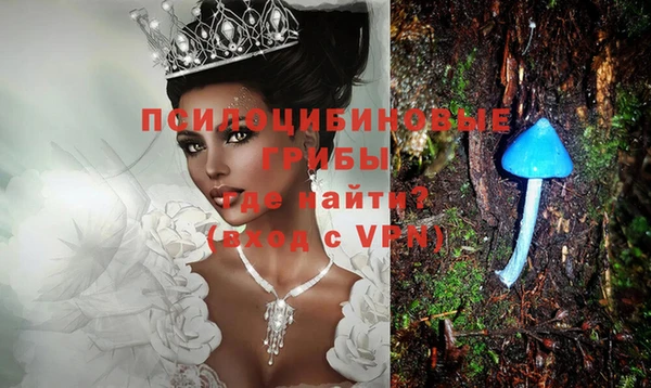 индика Алексеевка