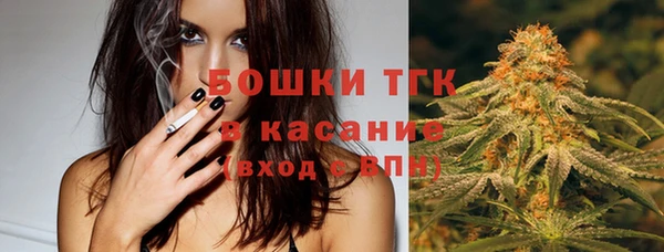 СК Алзамай