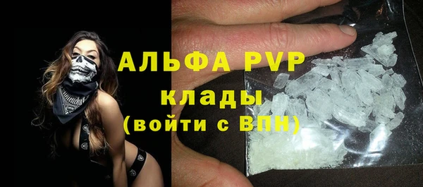 индика Алексеевка